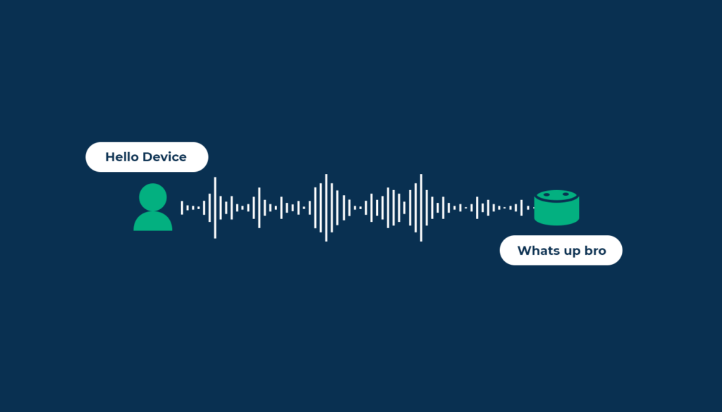 Voice User Interface (VUI)